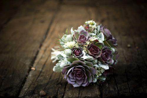 爱意飘飘—相知的日子