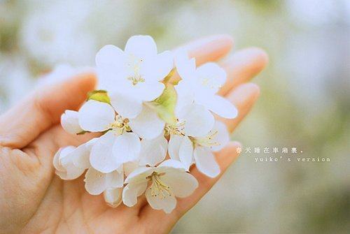 也许成长就在一瞬间