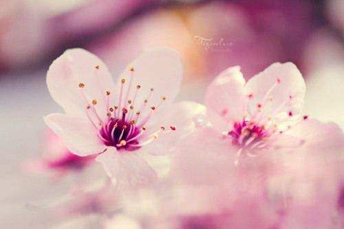 淡忘的童年 幸福而忧伤