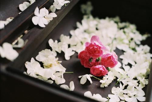如果你也听说过 如果你也听说 歌词