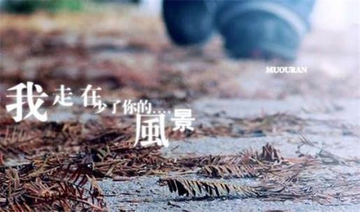 全球每年13亿吨食物被丢弃 丢弃的食物是怎么处理的