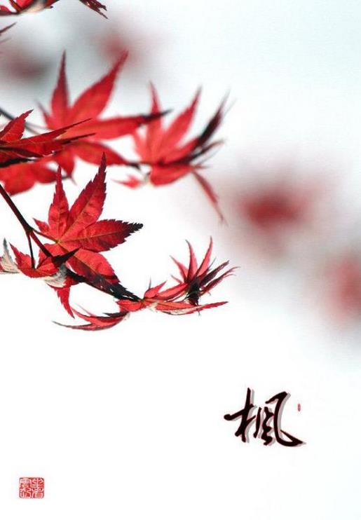 爱染春颜，一袖诗香