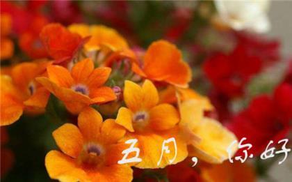 上善若水任方圆